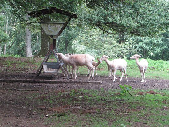 Parc animalier de Charleville-Mézières