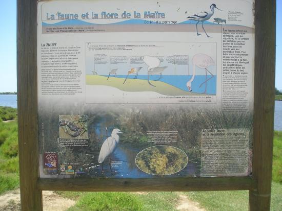 Sentier pédagogique de Portiragnes