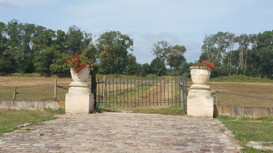 Château de Cone