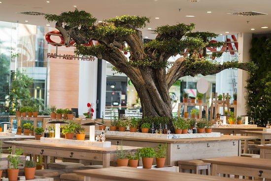 Vapiano