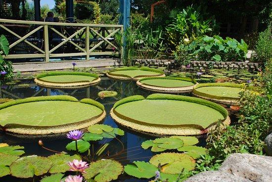 Les Jardins d'Eau