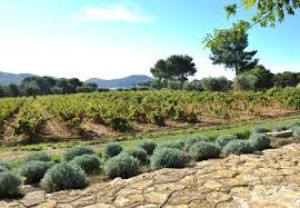 Domaine Maubernard