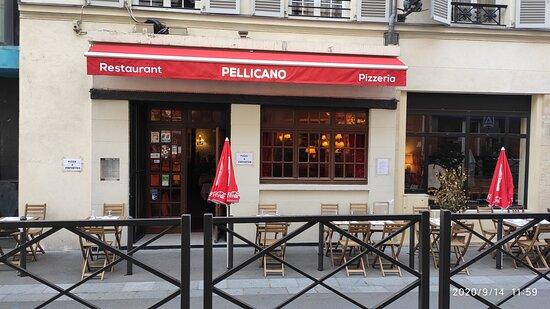 Pellicano