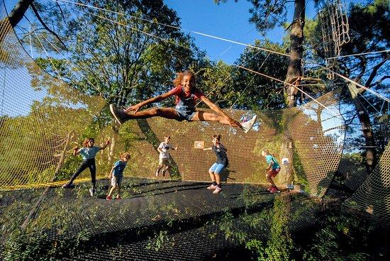 Parc d'attractions Forêt adrénaline