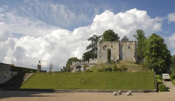 Château de Langeais