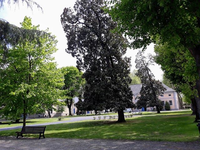 Le Haras De Tarbes