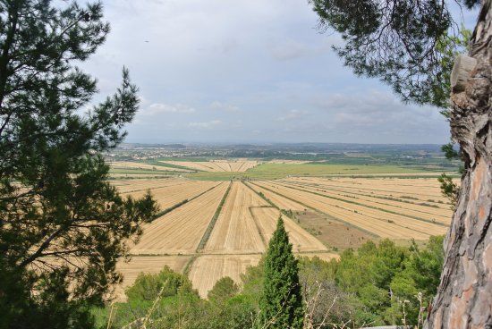 Oppidum d'Ensérune