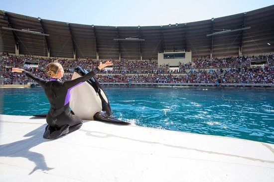 Marineland d'Antibes
