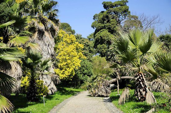Jardin Thuret