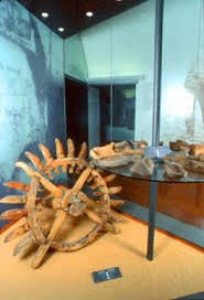 Musée de la Corse