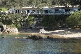 Verghia