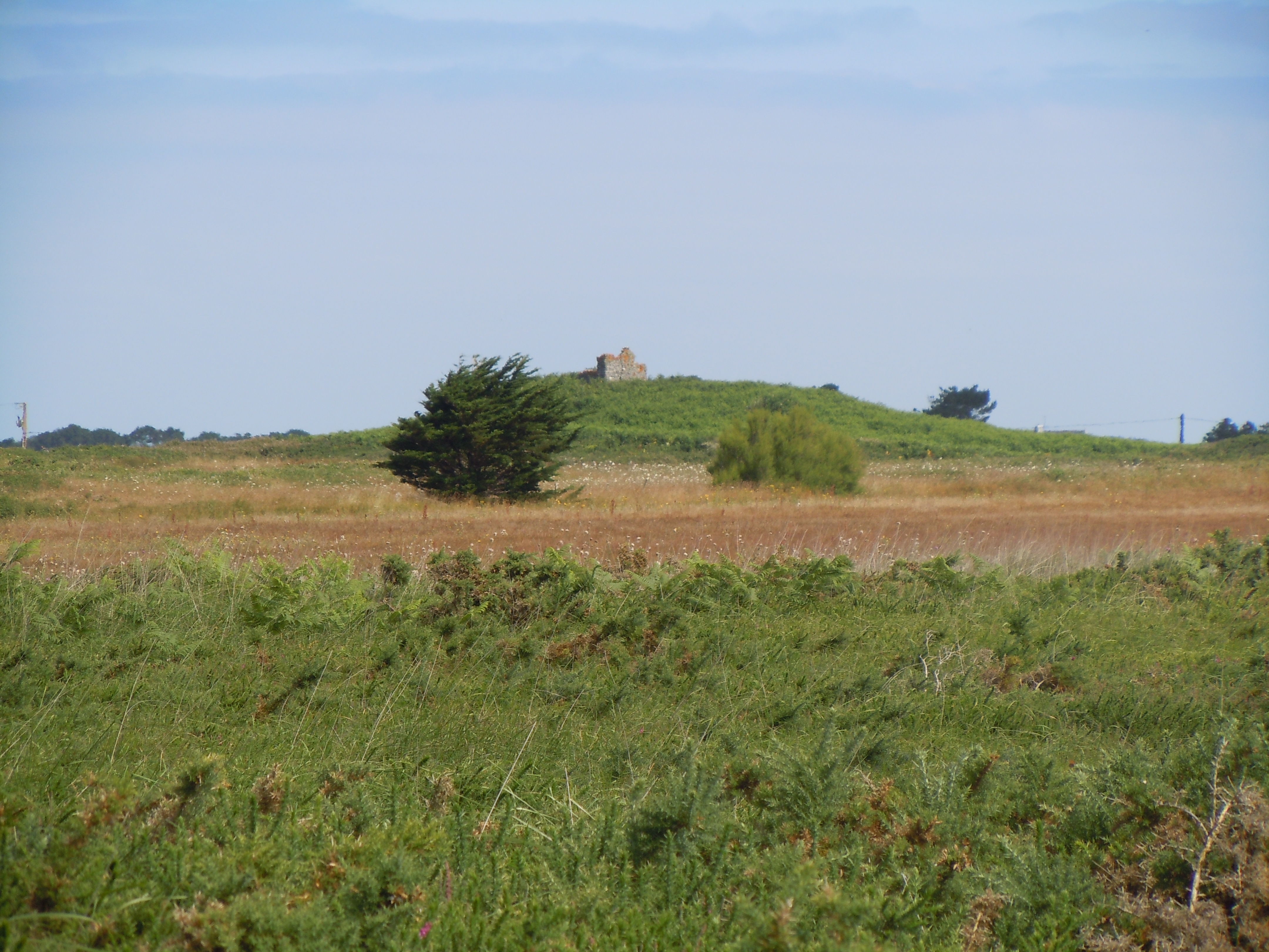 tumulus de la Lande du Semis